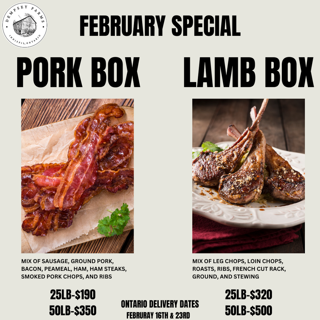 February Special Lamb/Pork